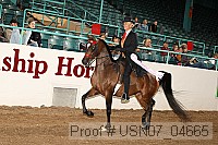 usn07_04665 proof