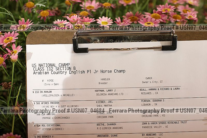 Proof usn07_04684