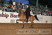 usn07_04686 proof
