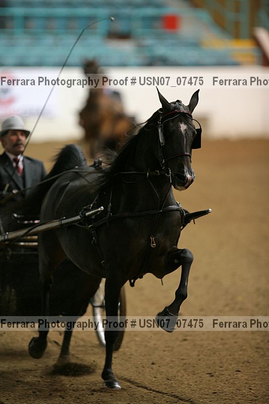 Proof usn07_07475