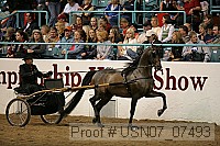 usn07_07493 proof