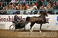 usn07_07500 proof