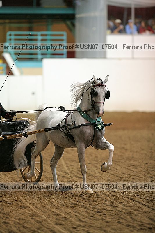 Proof usn07_07504