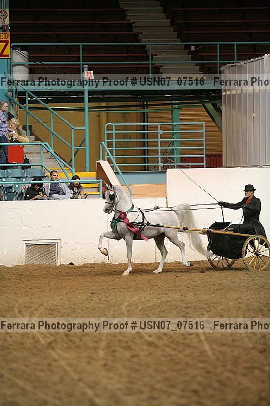 Proof usn07_07516