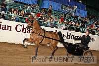 usn07_07871 proof