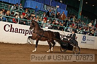 usn07_07873 proof