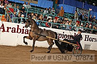 usn07_07874 proof
