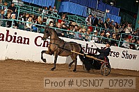 usn07_07879 proof