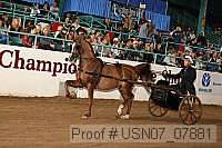 usn07_07881 proof