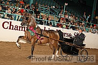 usn07_07893 proof