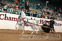 usn07_07894 proof