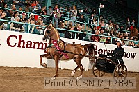 usn07_07895 proof