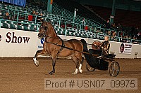 usn07_09975 proof