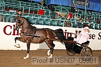 usn07_09981 proof