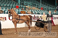 usn07_09989 proof