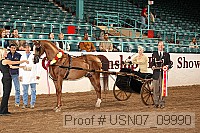 usn07_09990 proof