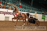 usn07_09996 proof