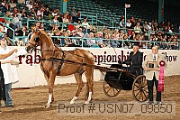 usn07_09850 proof