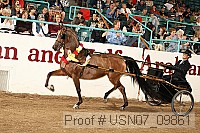 usn07_09861 proof