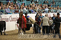 usn07_j09548 proof