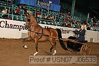 usn07_j06533 proof
