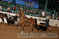 usn07_j06547 proof