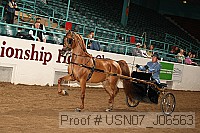 usn07_j06563 proof