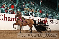 usn07_j06567 proof