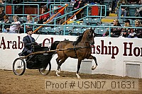 usn07_01631 proof