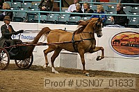 usn07_01633 proof