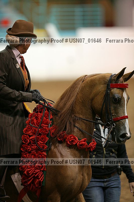 Proof usn07_01646