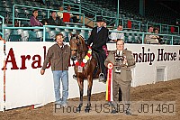 usn07_j01460 proof