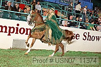 usn07_11374 proof