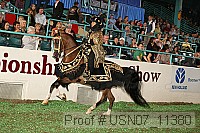 usn07_11380 proof