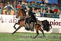 usn07_11382 proof