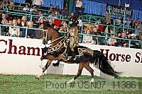 usn07_11386 proof