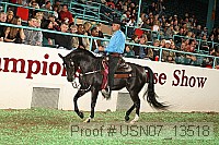 usn07_13518 proof