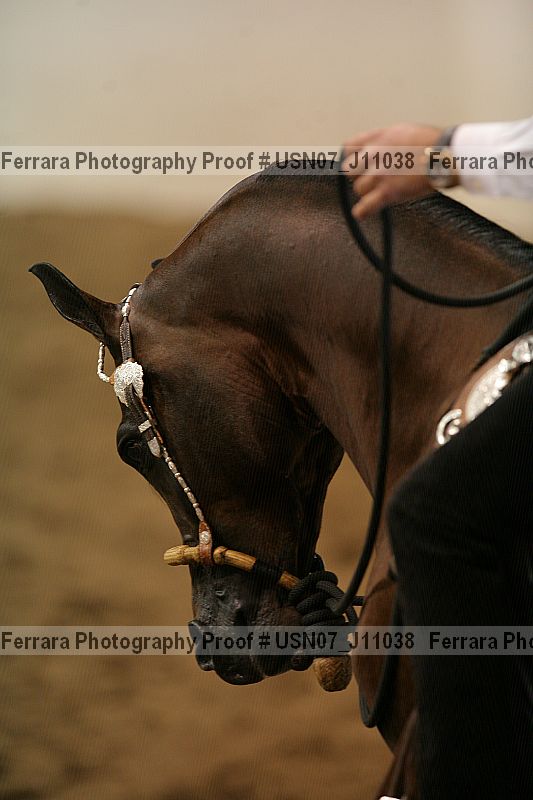 Proof usn07_j11038