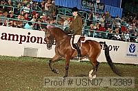 usn07_12389 proof