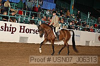 usn07_j06313 proof