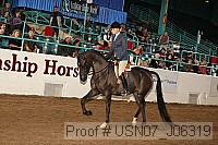 usn07_j06319 proof