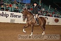 usn07_j06321 proof