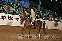 usn07_j06323 proof