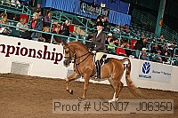 usn07_j06350 proof