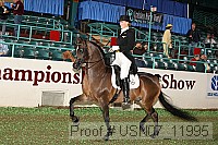 usn07_11995 proof
