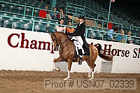 usn07_02339 proof