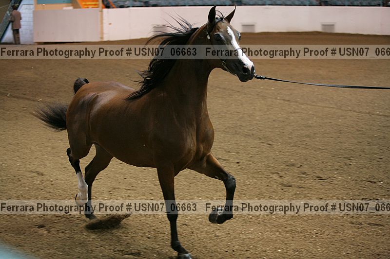 Proof usn07_06663
