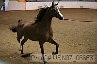 usn07_06663 proof
