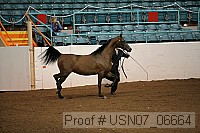 usn07_06664 proof