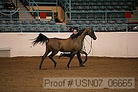 usn07_06665 proof